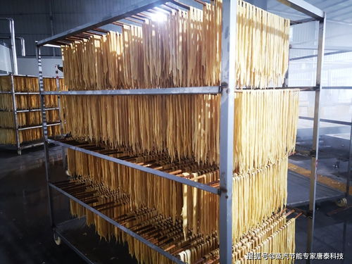 食品行业蒸汽节能案例 腐竹厂蒸汽诊断与皮带秤优化实践